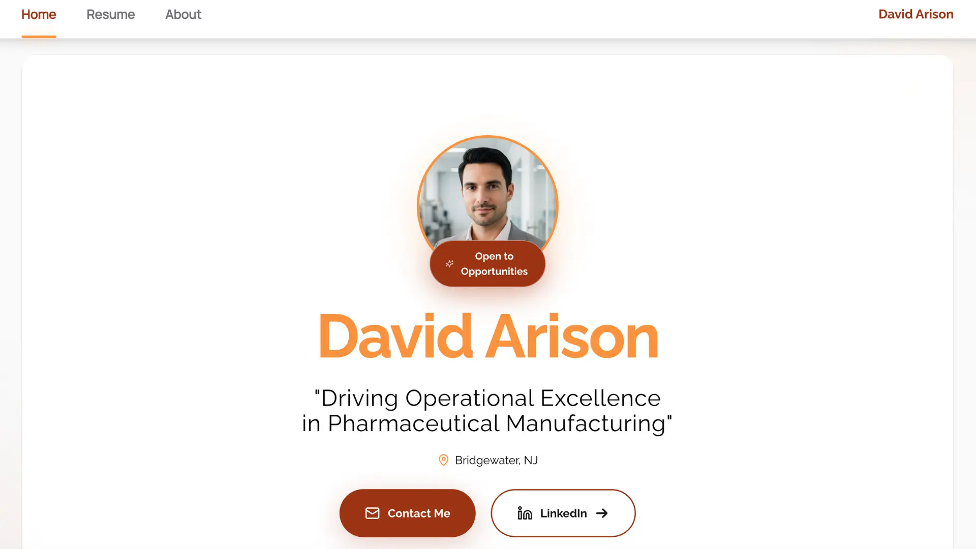 David Arison - Professional Homepage Example